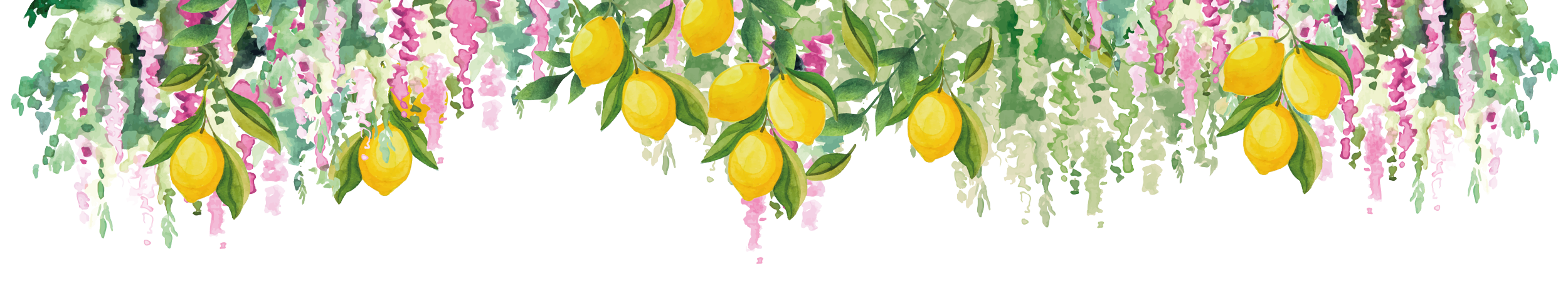 rand-met-citroenen-en-bloemen